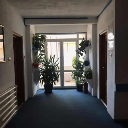 Pensiunea Ursulet *