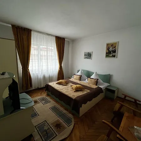 Pensiunea Ursulet *